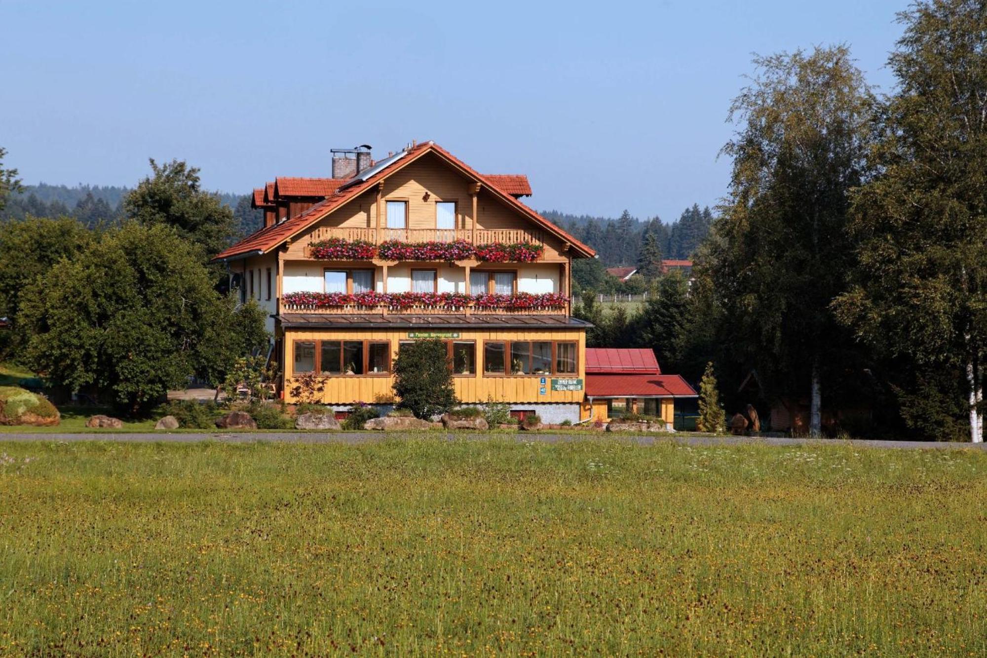 Pension Wiesengrund Neuschönau Zewnętrze zdjęcie